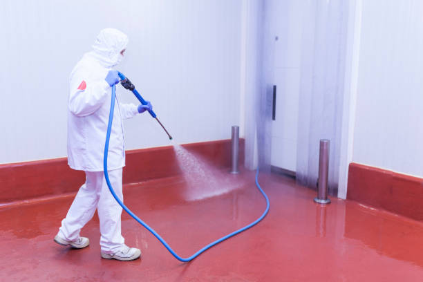 Best Winterizing Services  in South Huntington, NY