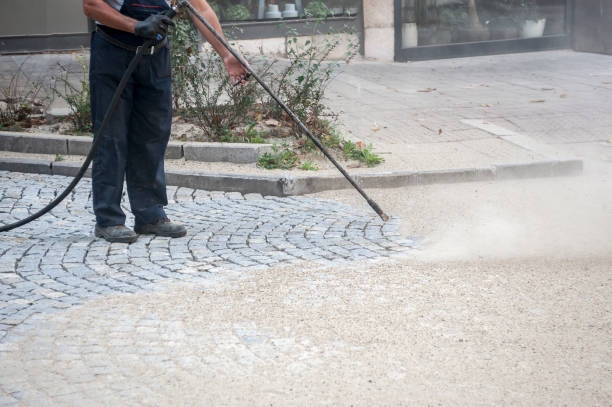 Best Pre-Holiday Cleaning  in South Huntington, NY